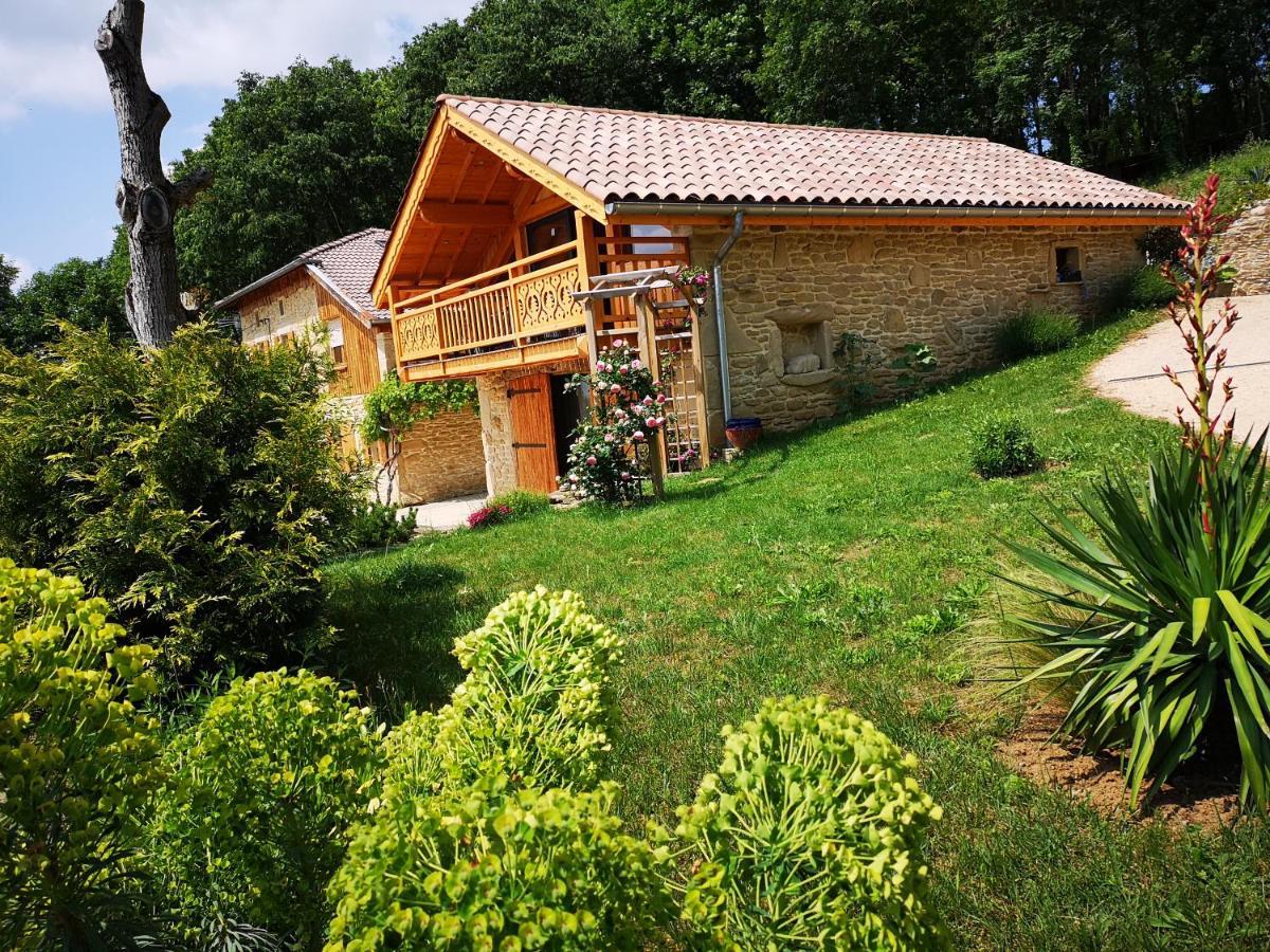 Chalet Le Clos De L'Orme Saint-Lattier Экстерьер фото