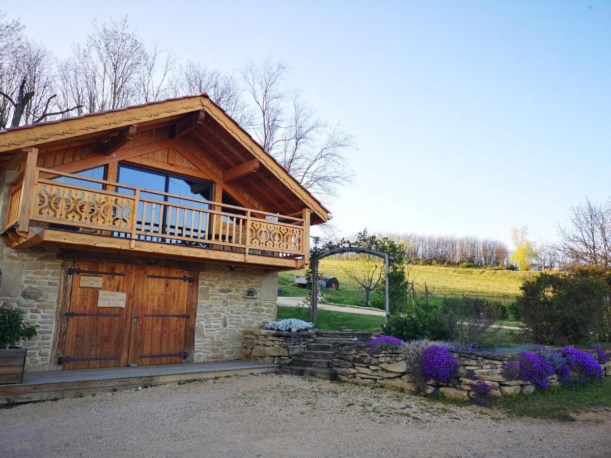 Chalet Le Clos De L'Orme Saint-Lattier Экстерьер фото
